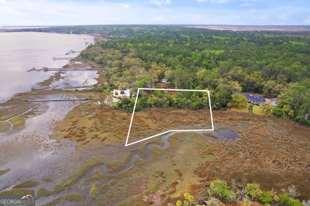 Photo of 180 Turtle River Lane, Brunswick, GA 31523 (MLS # 10732041)