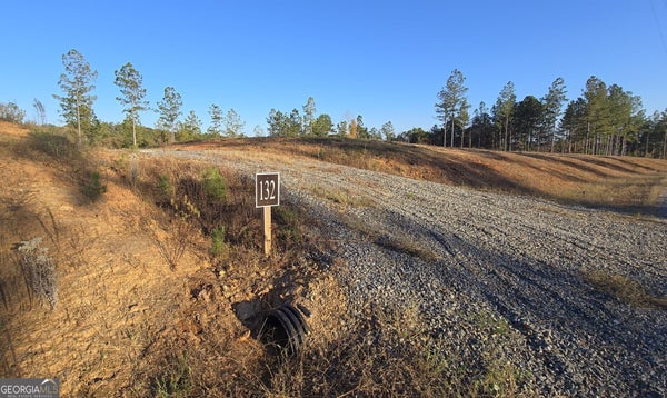LOT 132 RIVER REACH LANE, TALKING ROCK, GA 30175 - Image fbf81f71aeee04507737cc13b58efd0c/4172079009