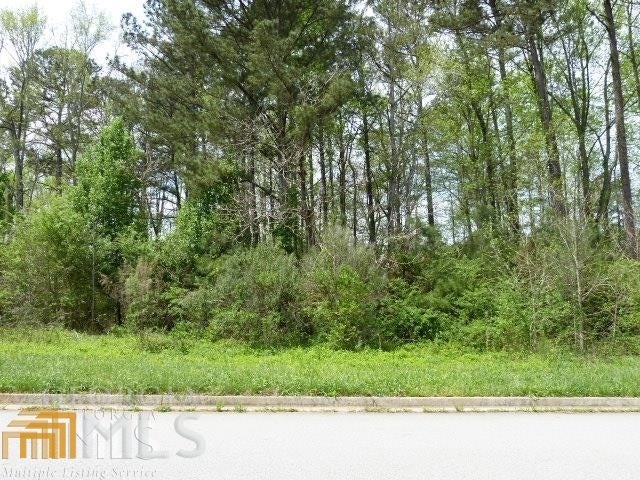 Photo of 204 Benefield Court, Stockbridge, GA 30281 (MLS # 10876747)
