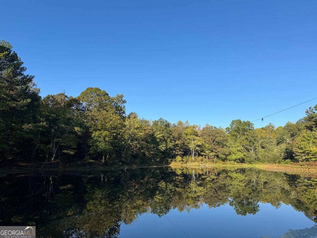 Photo of 9 Butler Road, Franklin, GA 30217 (MLS # 10876601)