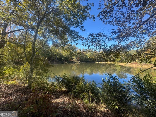 TRACT 9 BUTLER ROAD, FRANKLIN, GA 30217 - Image fc0b95defe8dfc183a54ee6520df675a/3587992856
