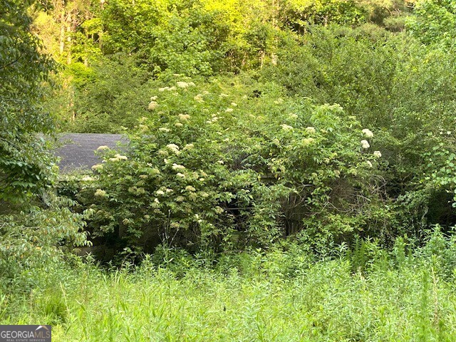 View Franklin, GA 30217 land