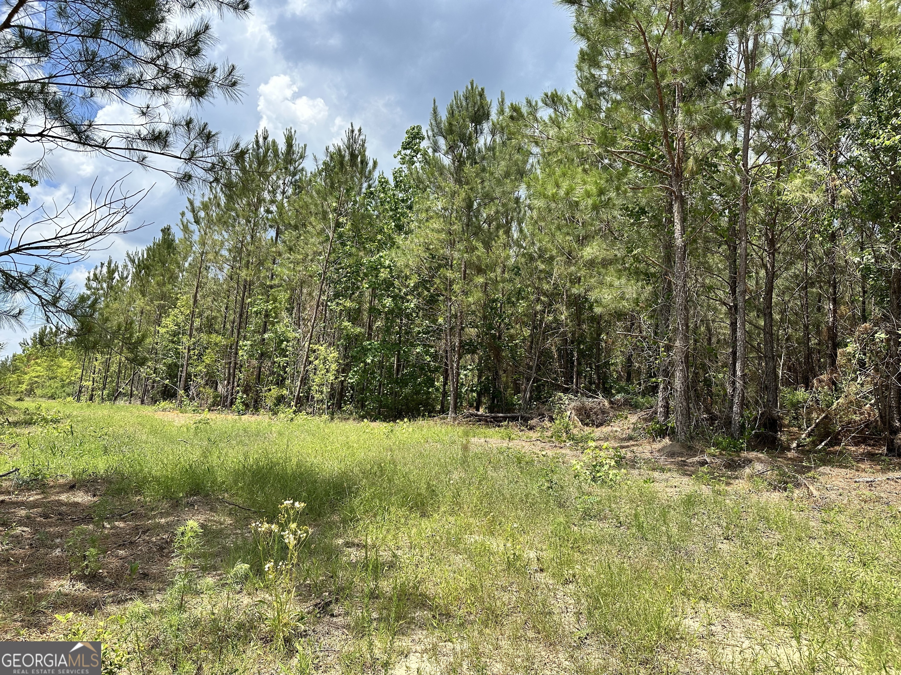 Perfect land to build your next home on or hold for investment. No restrictions! Come and enjoy living in the peaceful Country close to Dublin. Hospitals, Medical and Restaurants are just a quick drive away. Land adjacent is also available for a larger parcel.
