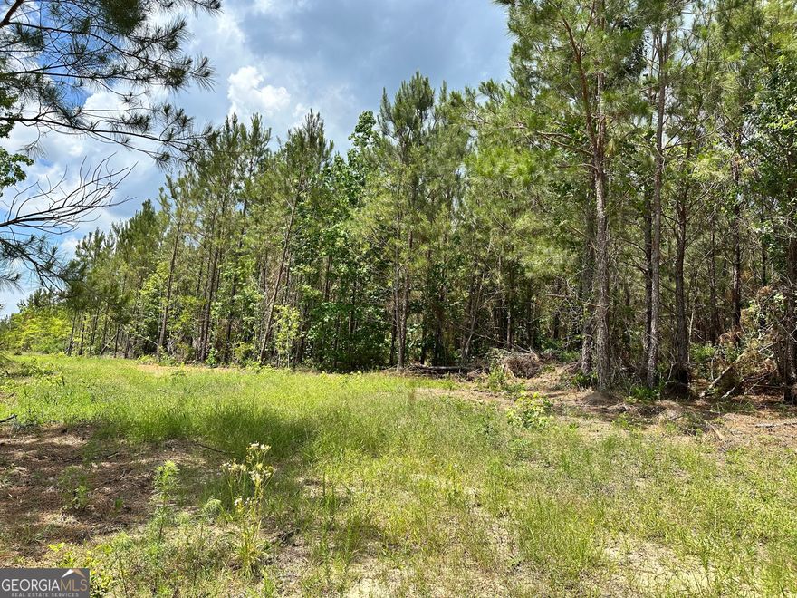 Perfect land to build your next home on or hold for investment. No restrictions! Come and enjoy living in the peaceful Country close to Dublin.  Hospitals, Medical and Restaurants are just a quick drive away.  Land adjacent is also available for a larger parcel.