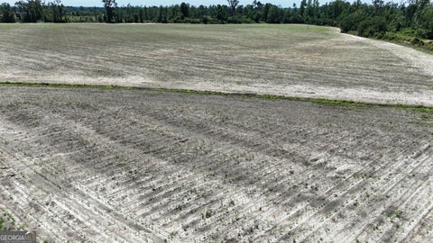 Photo for 08600022T1 Redbird RD