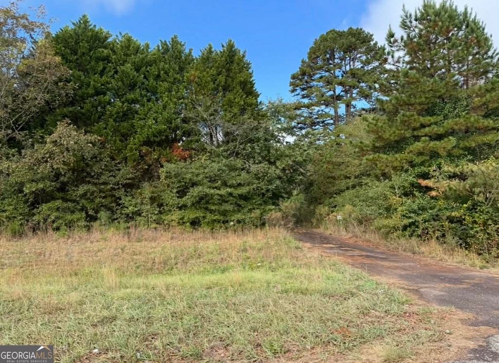 Photo of 3238 S Ola Road, Locust Grove, GA 30248 (MLS # 10661556)