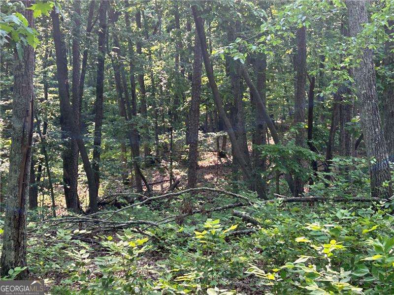 3 PRIME ACRES in Cherokee County. Great road frontage. Perfectly squared lot! CURRENT SURVEY. Would be perfect for a beautiful custom home with basement. PRIVATE. NO HOA. No one will ever build behind or next to this property. LOCATION is absolutely amazing. ZONE AG! Zoned for the new Cherokee High School. Close to Downtown Canton and The Mill.