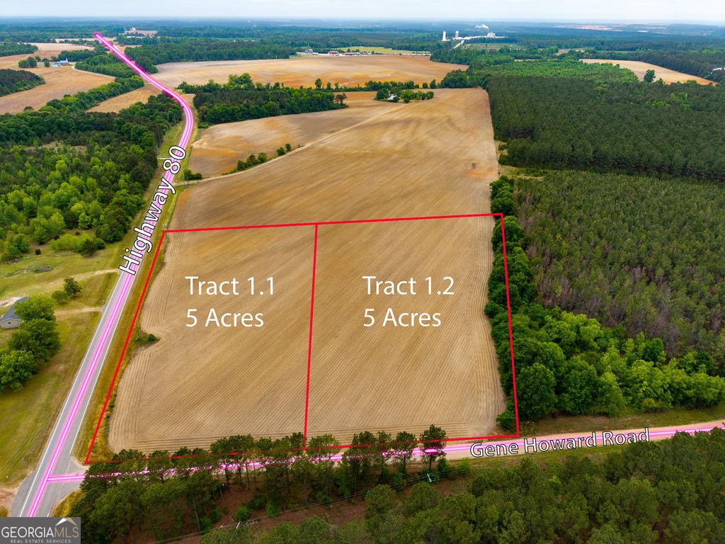 Photo of 11 Highway 80, Stapleton, GA 30823 (MLS # 10771399)