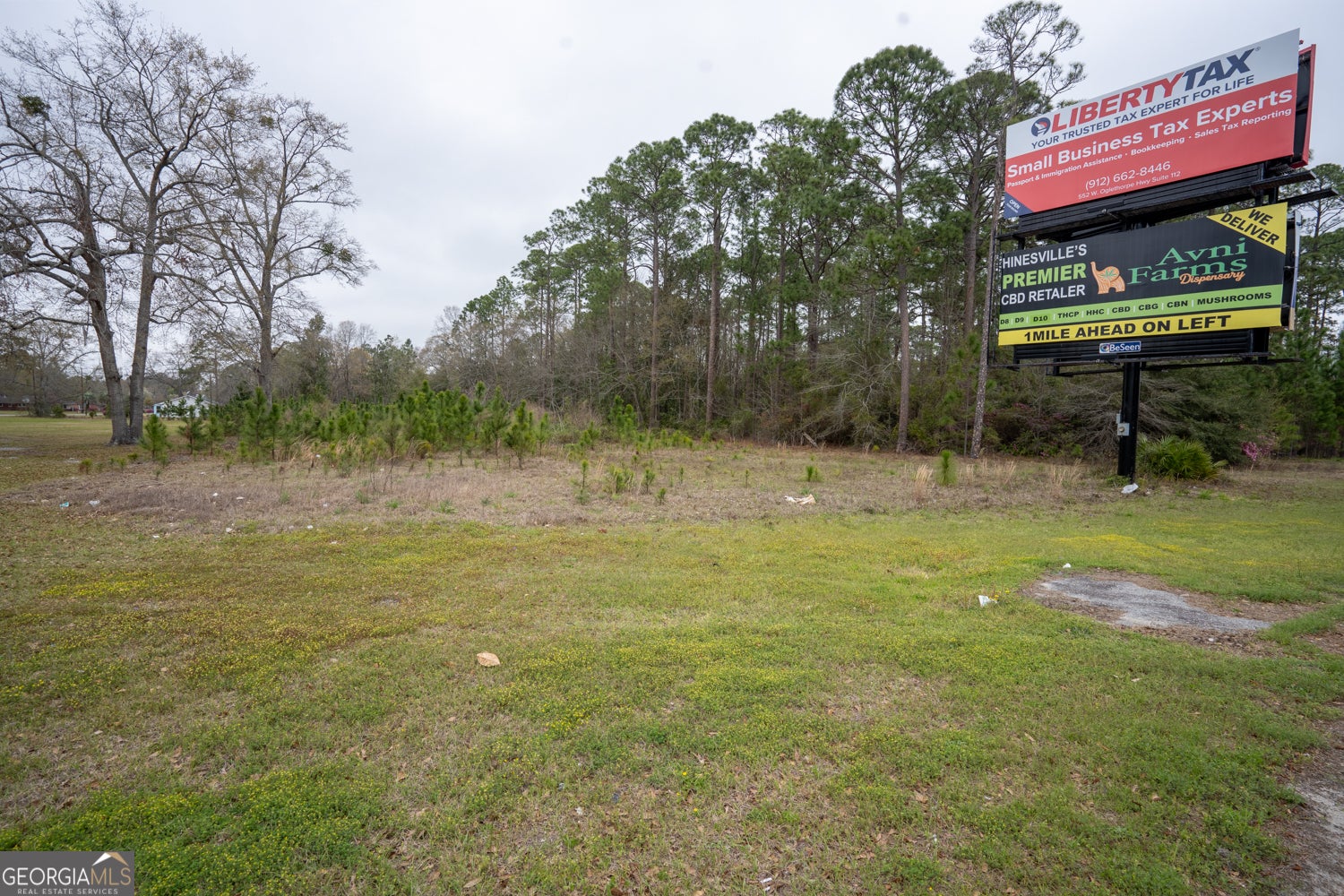 1.09 AC Elma G Miles PKWY