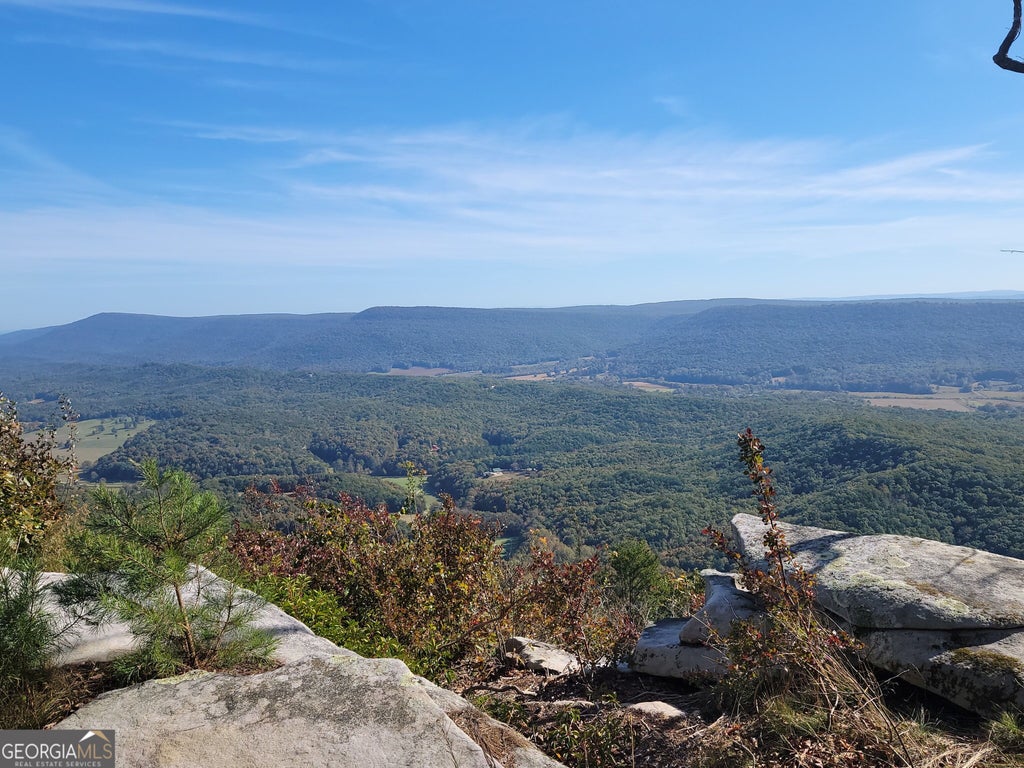 Photo of 21815 Highway 157, Menlo, GA 30731 (MLS # 10880675)