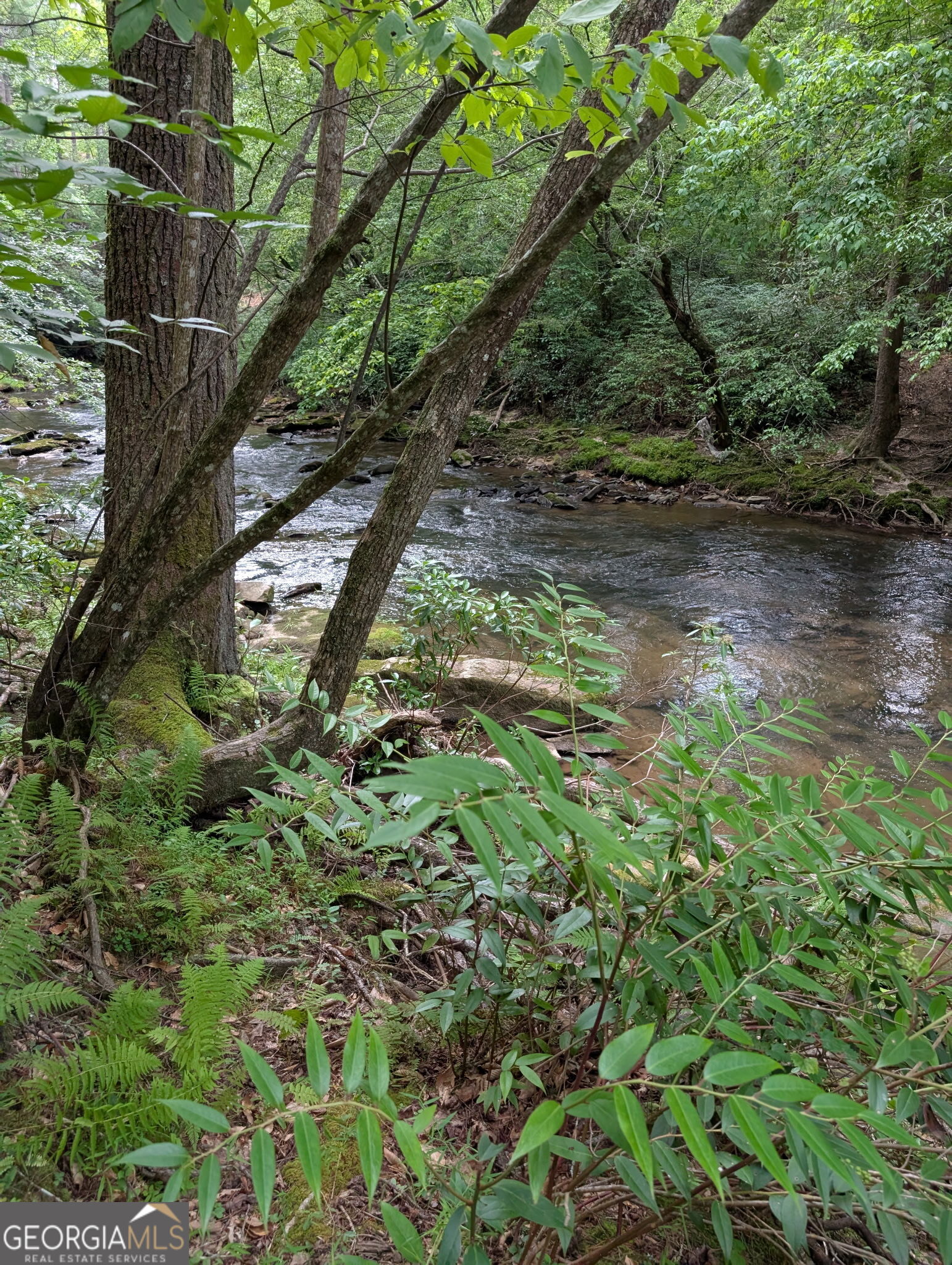 Over 100 feet of Creek Frontage to enjoy on this wooded Lot . Build your mountain home on these 1.46 acres in established neighborhood of Old Birch Bend II. Privacy with large wooded lot. Limited restrictions Minutes from great restaurants, in Blairsville and Blue Ridge. Enjoy fishing, kayaking, or tubing down the river to Lake Nottely, and beyond. Carve your dream home out of the natures surroundings. A couple new homes are now under construction in the neighborhood. Join them in the quiet and private neighborhood with paved roads throughout. Deed restricted.