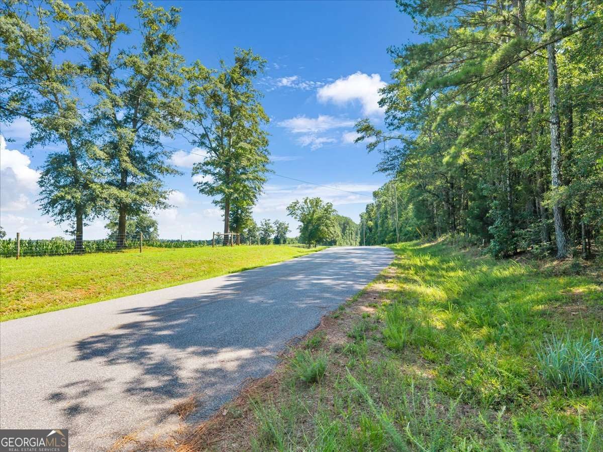 336 Piney Grove RD