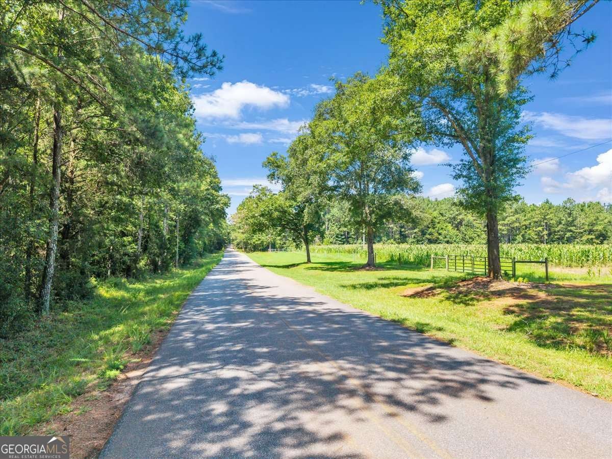 336 Piney Grove RD