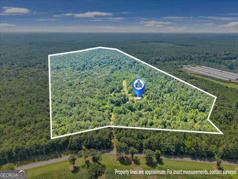 Photo of 336 Piney Grove Road, Comer, GA 30629 (MLS # 10807699)