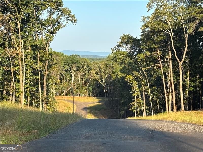 Photo of 27 Norton Lane, Dahlonega, GA 30533 (MLS # 10838623)