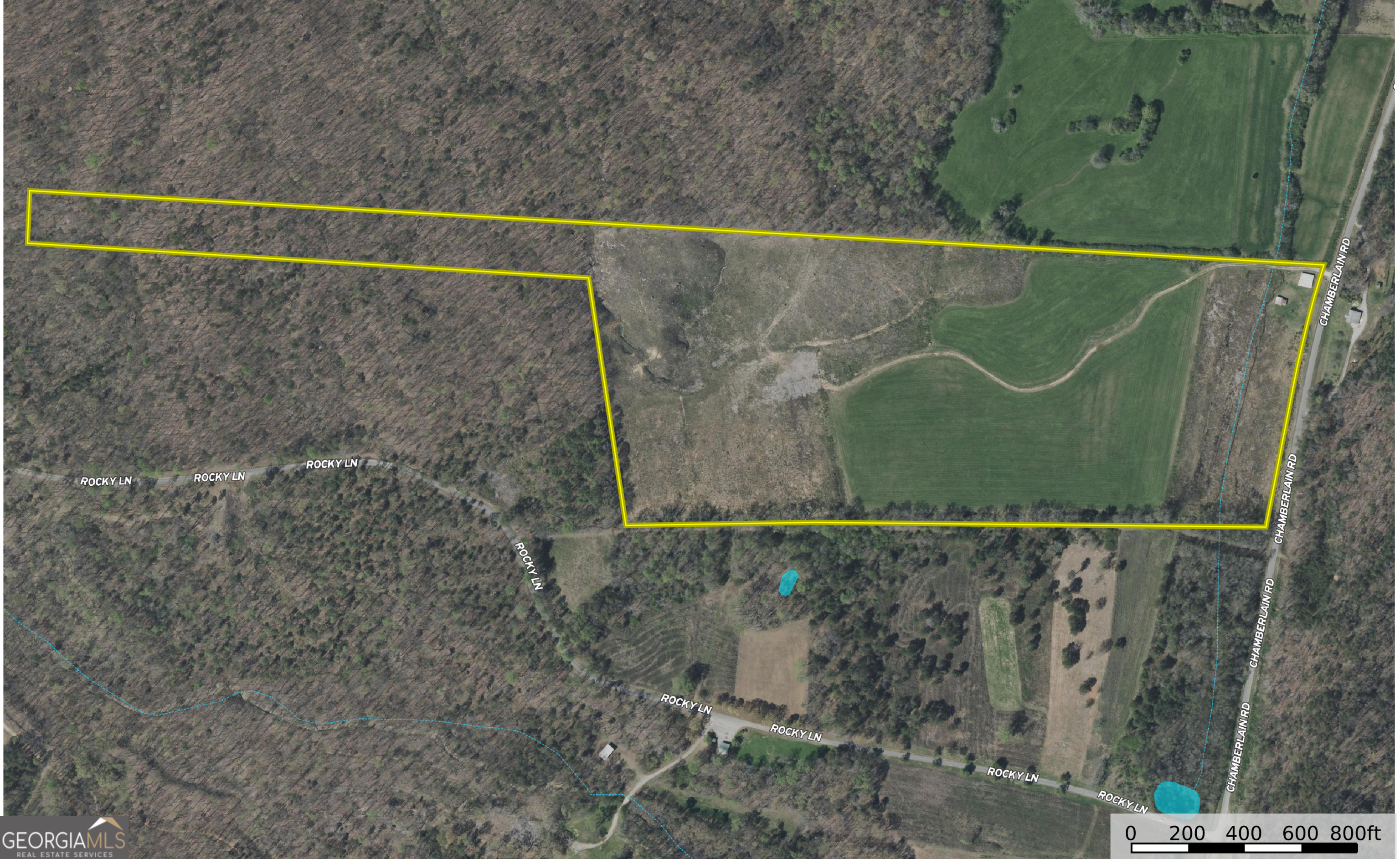 62 +/- Acres on Chamberlain RD