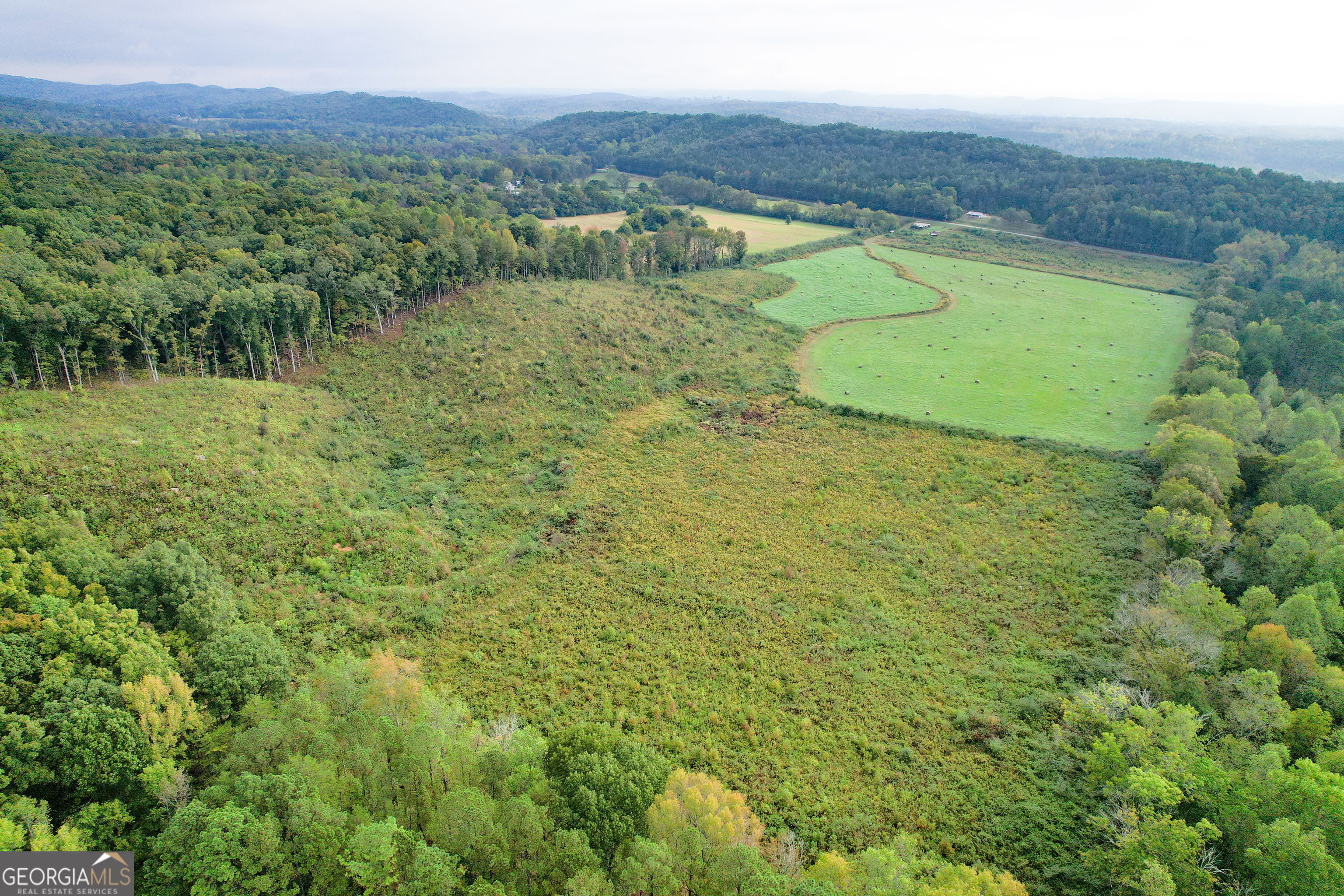 62 +/- Acres on Chamberlain RD