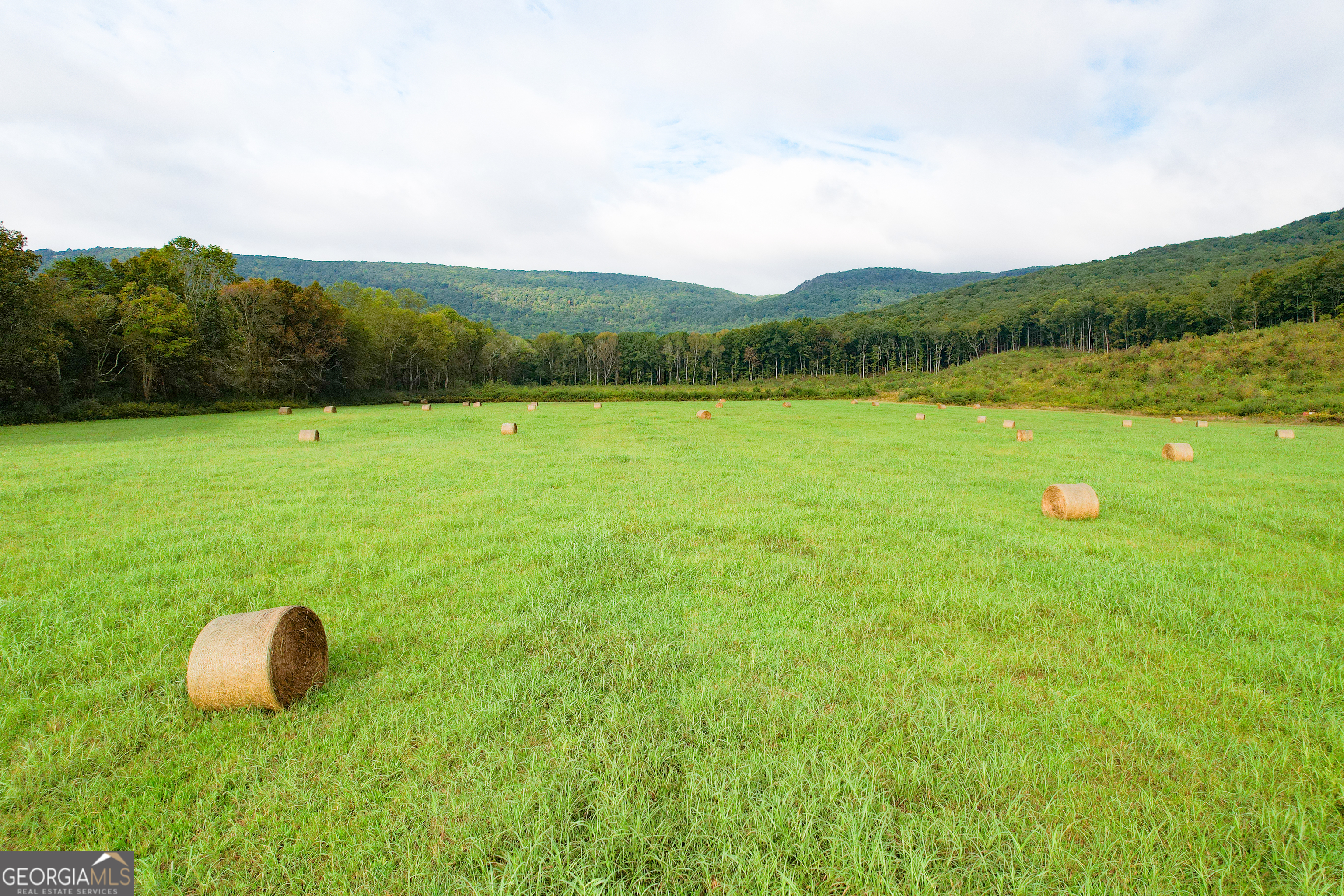 62 +/- Acres on Chamberlain RD