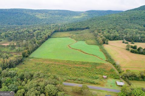 62 +/- Acres on Chamberlain RD LaFayette GA 30728