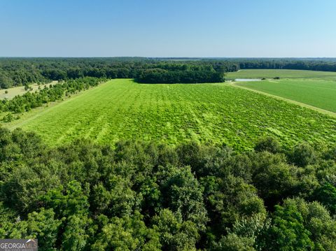 Photo of 0 Vienna Highway, Hawkinsville, GA 31036 (MLS # 10808854)