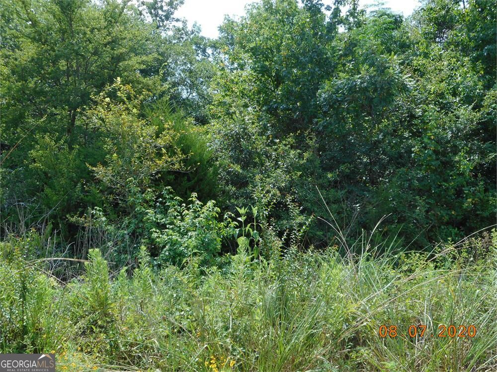 Photo of N/A Churchwell Road, N/A, GA 30642 (MLS # 10875591)