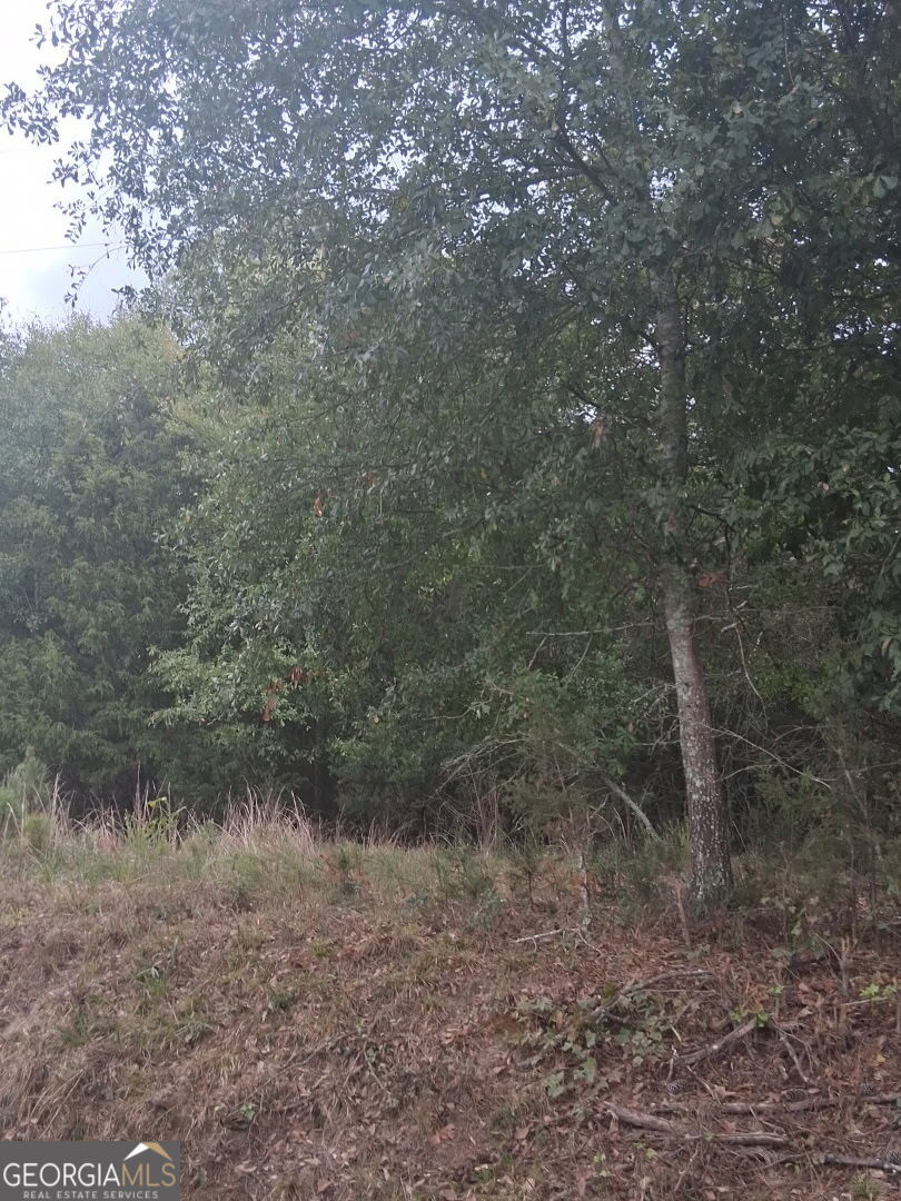 Photo of N/A Churchwell Road, N/A, GA 30642 (MLS # 10875591)