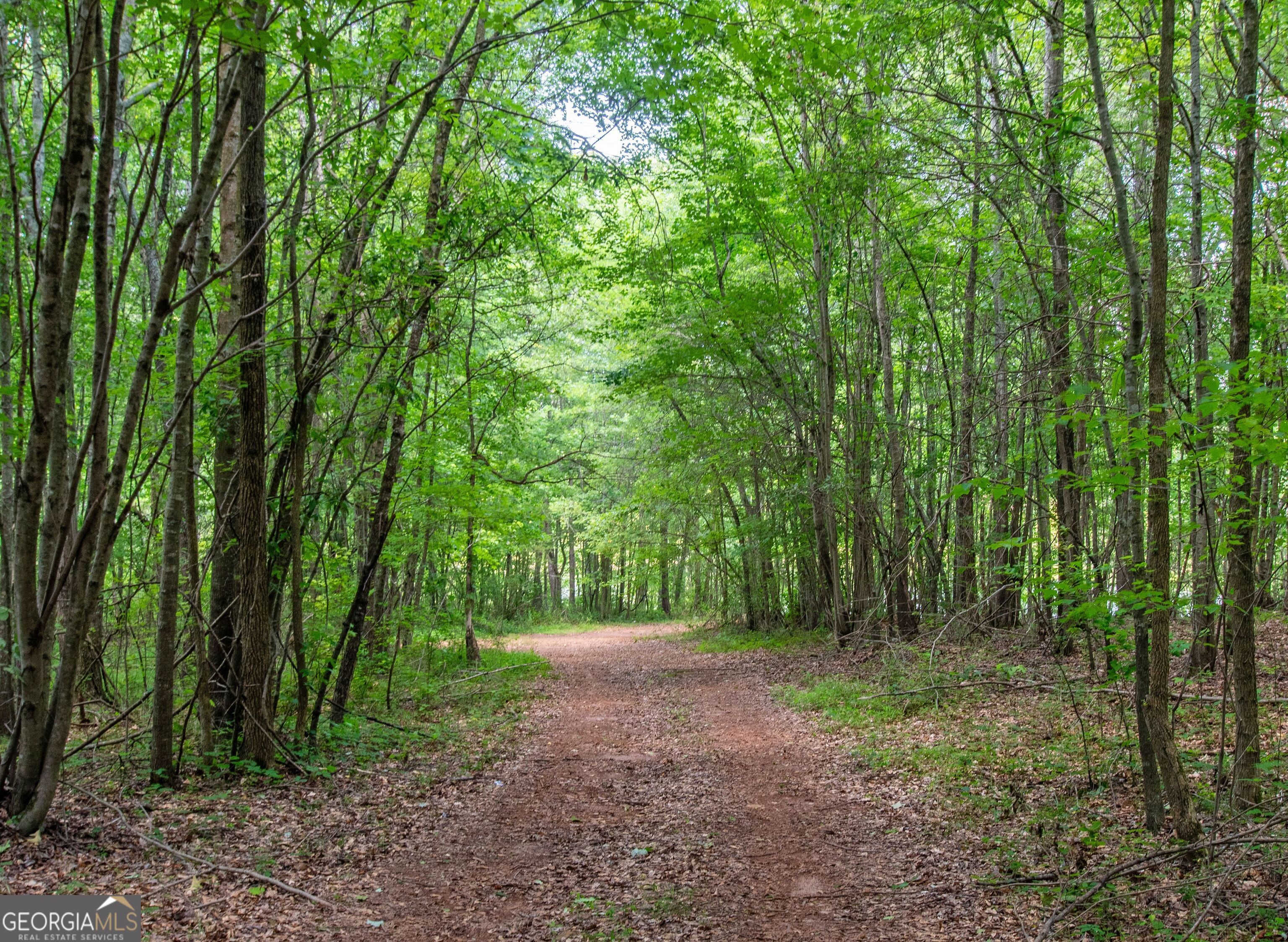 Roopville, Georgia 30170, United States, ,Land,Active,35996