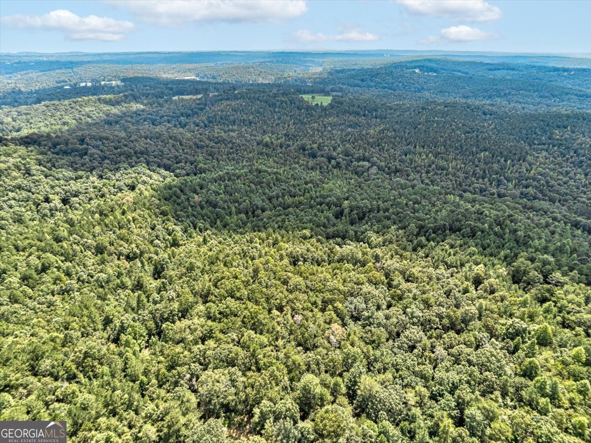 TK 11 Old Ridgeway RD