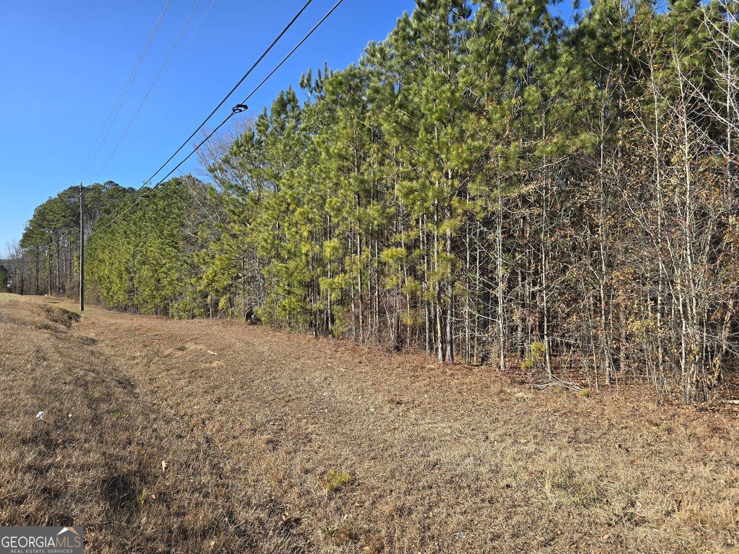 58 Wilton Smith RD