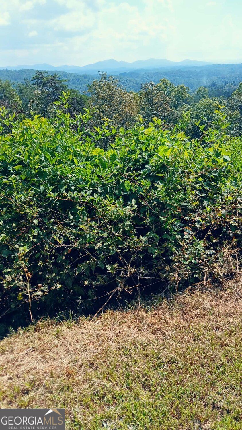 LOT 23 Mountain Laurel Ridge