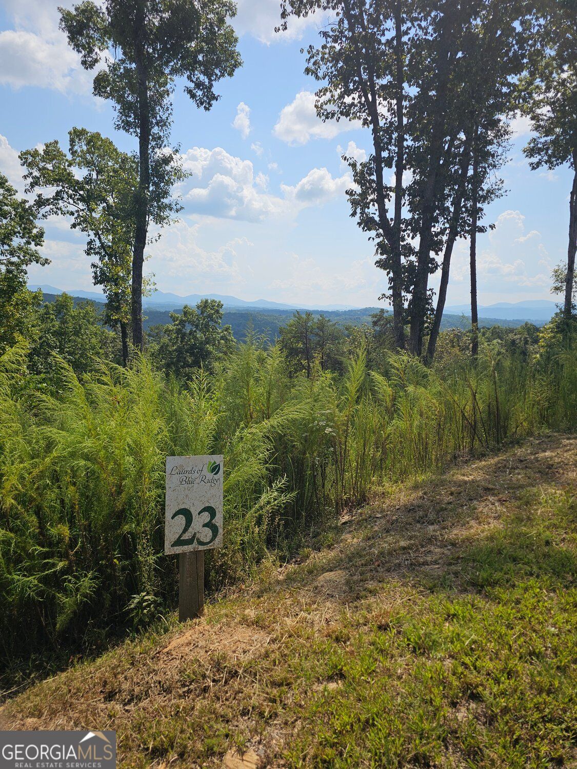 LOT 23 Mountain Laurel Ridge