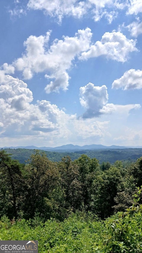 Photo of 23 Mountain Laurel Ridge, MIneral Bluff, GA 30559 (MLS # 10868725)