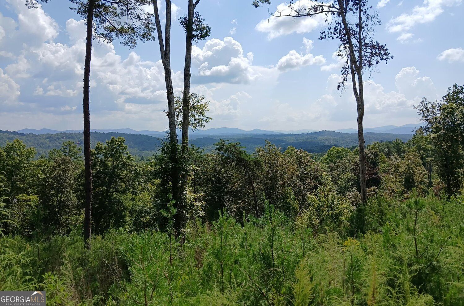 LOT 23 Mountain Laurel Ridge