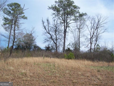 Photo of 0 TIPI LANE, Chatsworth, GA 30705 (MLS # 10846612)