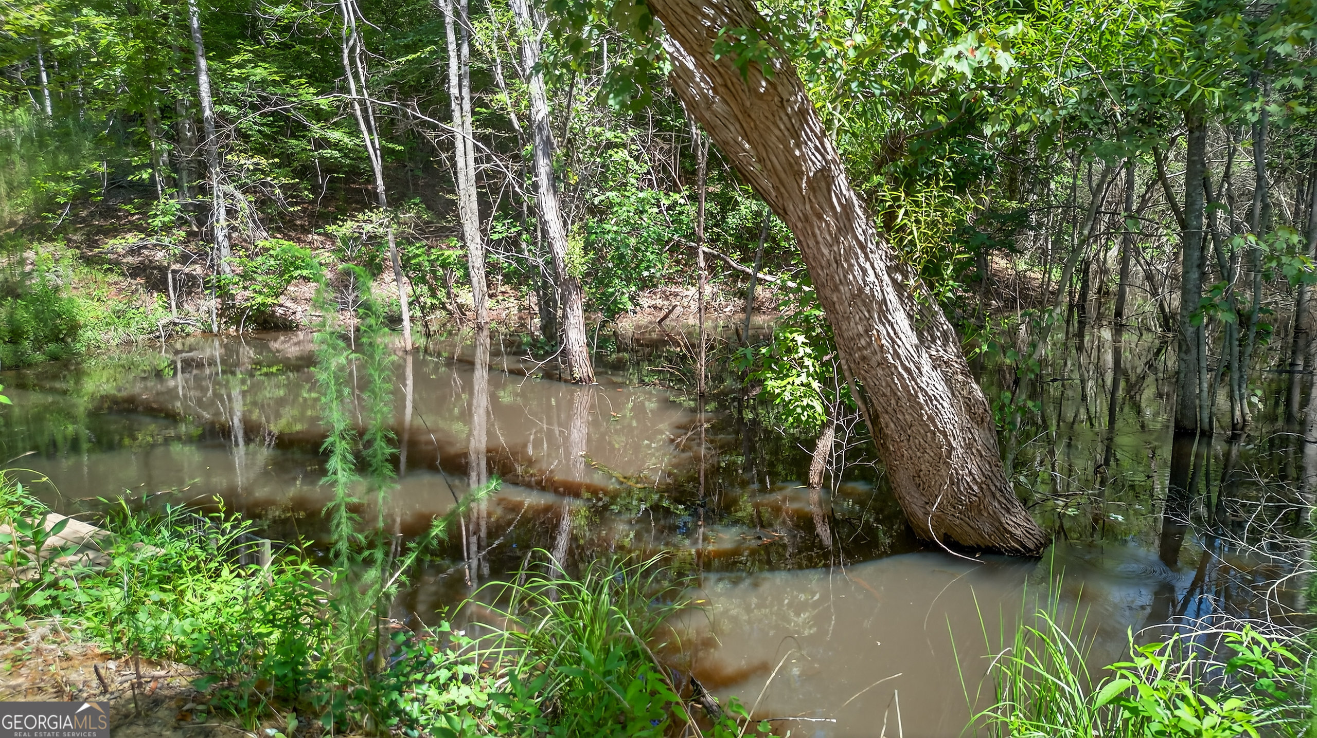 Pelzer, South Carolina 29669, United States, 4 Bedrooms Bedrooms, ,3 BathroomsBathrooms,Residential,Active,254069