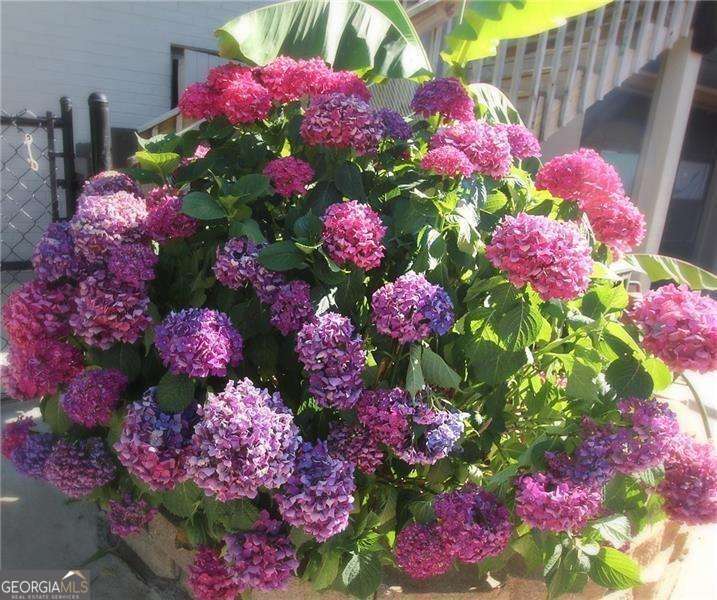 HISTORIC MARIETTA - Residential