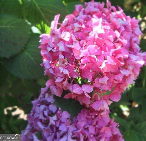 HISTORIC MARIETTA - Residential