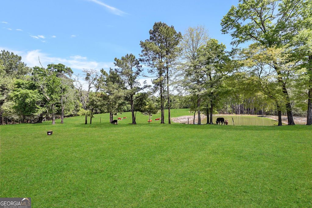 listing image 46