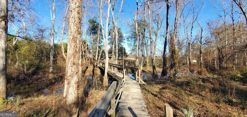 Photo of 147 Brannen Landing Road, Midville, GA 30441 (MLS # 10754662)