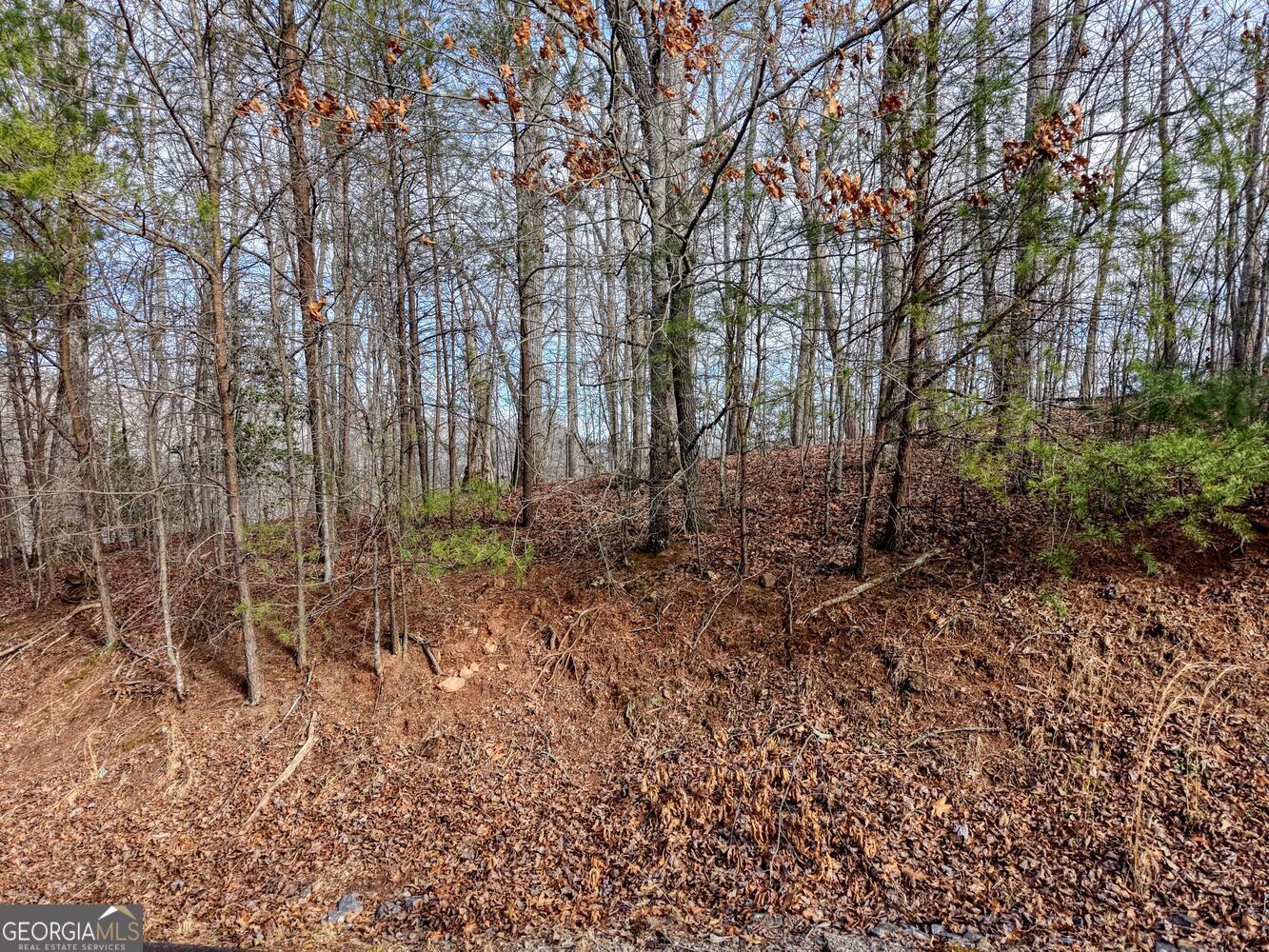 LOT 9 Oak Pointe Drive