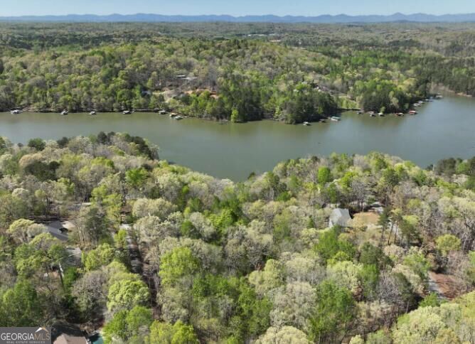 Photo of 7816 Beachwood Drive, Murrayville, GA 30564 (MLS # 10851904)
