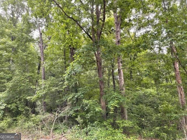 Putnam County land lot close to Lake Sinclair. Located on a paved road with great road frontage. Offers a lake view but no direct lake access. Wooded lot. Short distance to Milledgeville & Eatonton.