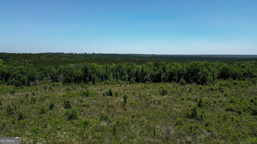 Photo of 6687 Green Grove Rd, Lumpkin, GA 31815 (MLS # 10785824)