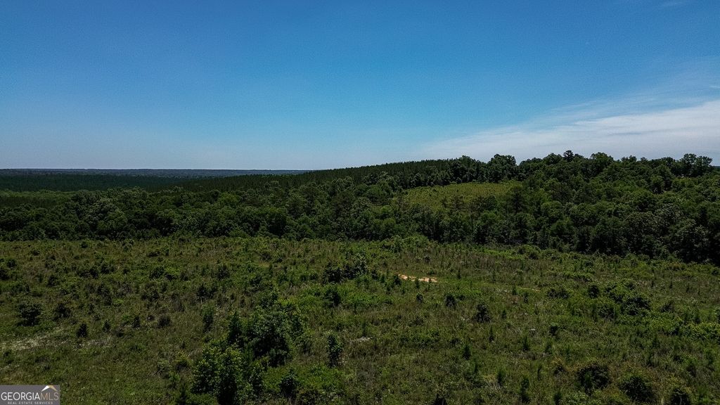 Photo of 6687 Green Grove Rd, Lumpkin, GA 31815 (MLS # 10785824)