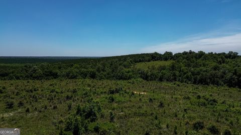 Photo of 6687 Green Grove Rd, Lumpkin, GA 31815 (MLS # 10785824)