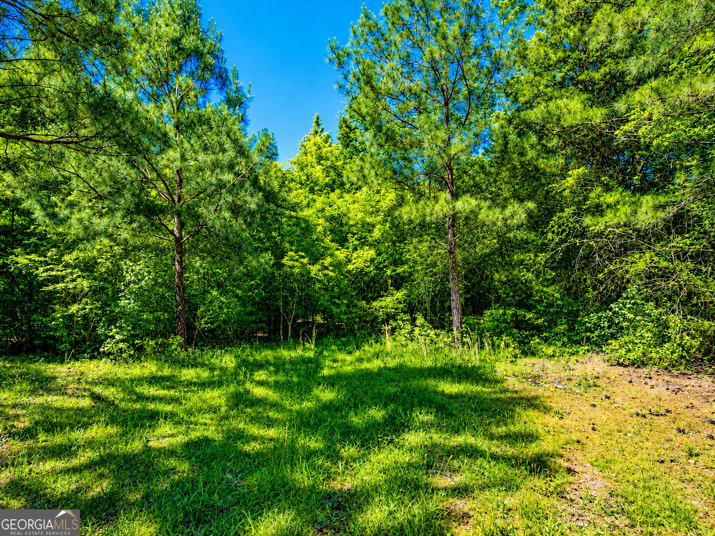 8 ACRES Bandy RD