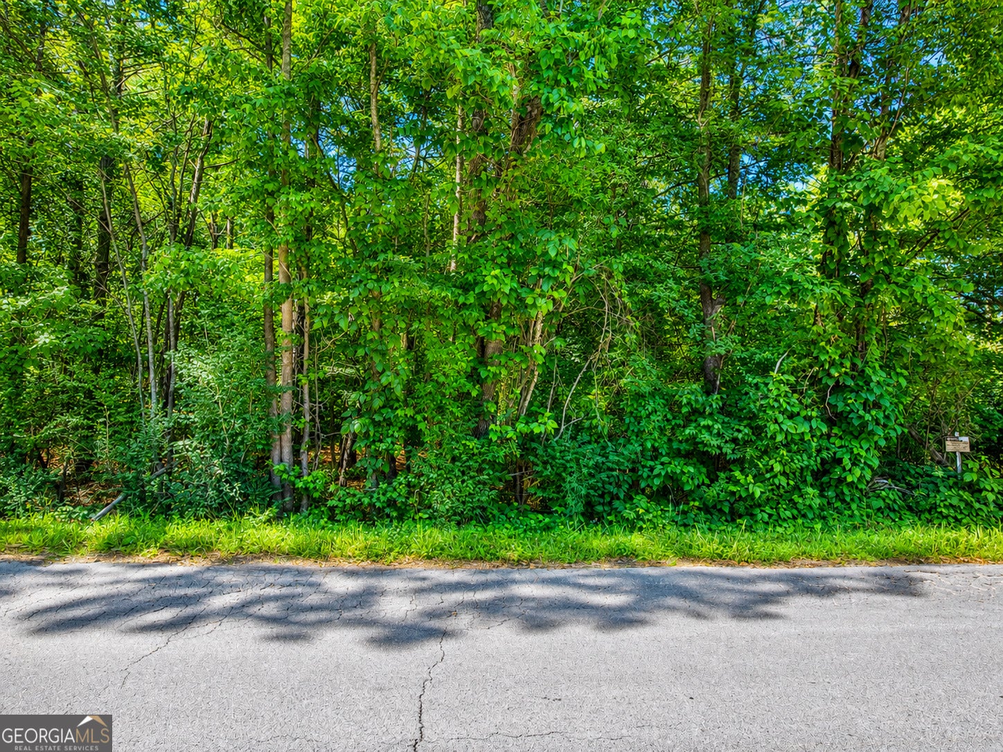 8 ACRES Bandy RD