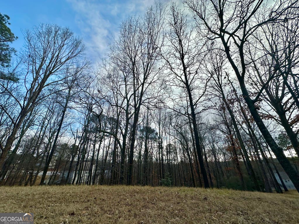 Photo of 3222 Haleys Way SE, Conyers, GA 30013 (MLS # 10824069)