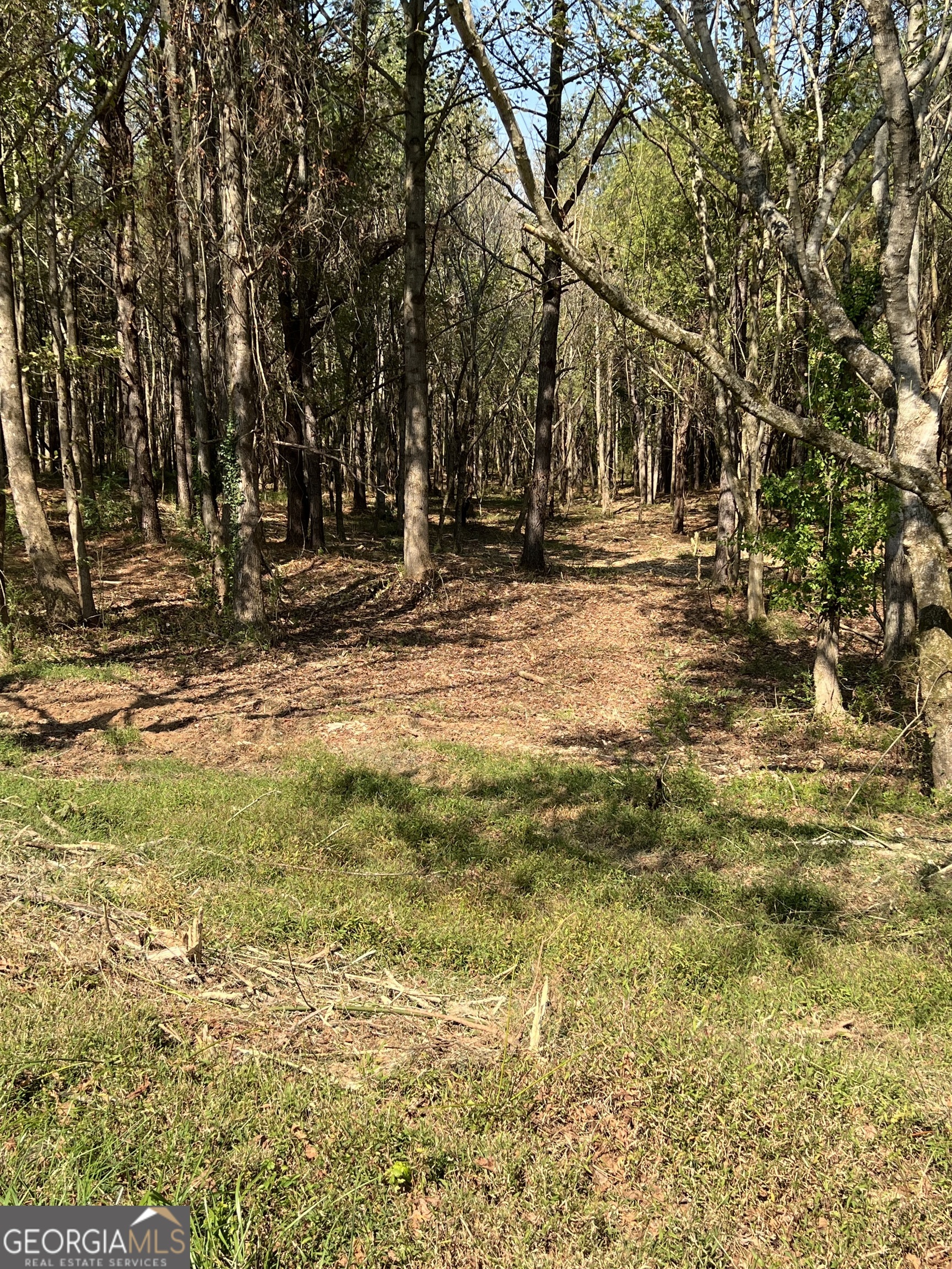 Over 6 Acres - Small Agriculture Zoning - Ready to Build! This rare find offers 6+ acres of gently rolling topography, beautifully mulched and ready for your dream build. Soil work is complete, county-approved, and permit-ready - saving you time and money. Enjoy multiple fantastic building sites with plenty of space for privacy, gardens, or a small homestead. Zoned Small Agriculture (AG) Mobile home restrictions apply County water available Peaceful rural setting with easy access to amenities Opportunities like this don't come often - ideal for those seeking a country lifestyle with modern convenience. Don't miss out!