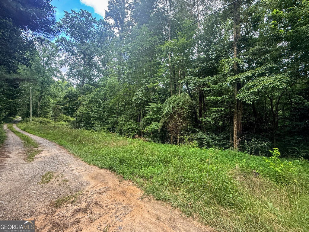 Photo of 0 Jesses Run, Ellijay, GA 30536 (MLS # 10856084)